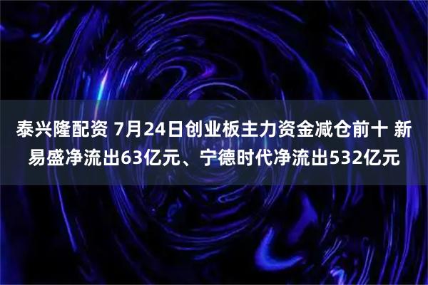 泰兴隆配资 7月24日创业板主力资金减仓前十 新易盛净流出63亿元、宁德时代净流出532亿元